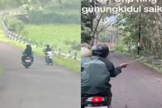 Viral warga menghindari Ulat Jati bergelantungan di udara. Foto: IG, @yogyakarta.keras. (tangkap layar)