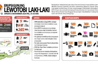 Pusat Pengendalian Operasi (Pusdalops) Badan Nasional Penanggulangan Bencana (BNPB) mengupdate korban meninggal dunia akibat erupsi Gunung Lewotobi Laki-Laki per Selasa (5/11/2024), sembilan orang meninggal dunia dan satu orang kritis. Foto: BNPB