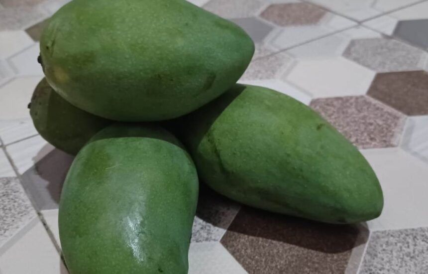 Buah mangga yang dapat menurunkan risiko kanker dan memiliki antioksidan. Foto: Joesvicar Iqbal/ipol.id