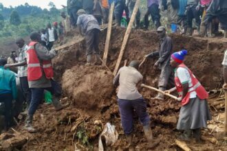 Longsor di Uganda. Foto: X @UgandaRedCross