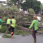 Sejumlah pasukan hijau Suku Dinas Pertamanan dan Hutan Kota Jakarta Timur mengevakuasi pohon beringin yang tumbang di Jalan Dr. Soemarno, Penggilingan, Cakung, Rabu (4/12/2024). Foto: Ist