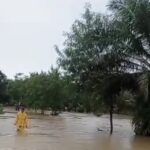 Kondisi banjir di wilayah Kecamatan Banjarsari, Kabupaten Lebak, Banten pada Jumat (6/12/2024), ketinggian air mencapai 50 sentimeter. Foto: BPBD Kab. Lebak