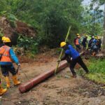 Petugas PLN saat mengganti tiang listrik Jaringan Tegangan Rendah (JTR) yang roboh di Kampung Kiara Dua, Pelabuhan Ratu, Kabupaten Sukabumi akibat cuaca ekstrem yang melanda sejumlah wilayah di Jawa Barat pada Rabu, 4 Desember 2024. PLN menerjunkan lebih dari 300 personel untuk memulihkan kondisi kelistrikan pascabencana dan telah berhasil mengoperasikan 705 gardu hingga Sabtu (7/12/2024) pagi. Foto: Dok PLN