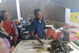 Para pedagang kerang, ikan dan cumi diserbu pembeli di Jalan Raya Bogor, Kramat Jati, Jakarta Timur, pada Senin (30/12/2024) malam. Pedagang mendapatkan berkah menjelang pergantian tahun baru. Foto: Joesvicar Iqbal/ipol.id