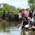 Bantuan bibit ikan dari Pemprov Sulsel. Foto: dok humas