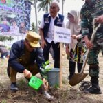 Tanam pohon di Hutan Rakyat. Foto: dok humas