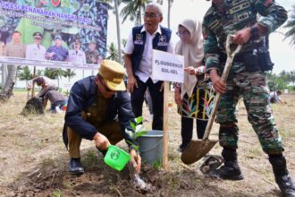 Tanam pohon di Hutan Rakyat. Foto: dok humas