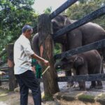 Ilustrasi taman margasatwa Ragunan, Jakarta Selatan. Foto: PPID Jakarta