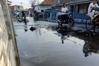 Banjir rob di Kabupaten Indramayu, Jawa Barat, mengakibatkan aktivitas warga masyarakat terganggu. Pengayuh becak hingga pengendara motor berupaya menghindari genangan. Foto: BPBD Kab. Indramayu