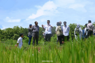 BRIN tengah menginisiasi kerja sama riset mina padi salin di Jepara dengan Fakultas Kelautan dan Perikanan Universitas Diponegoro.