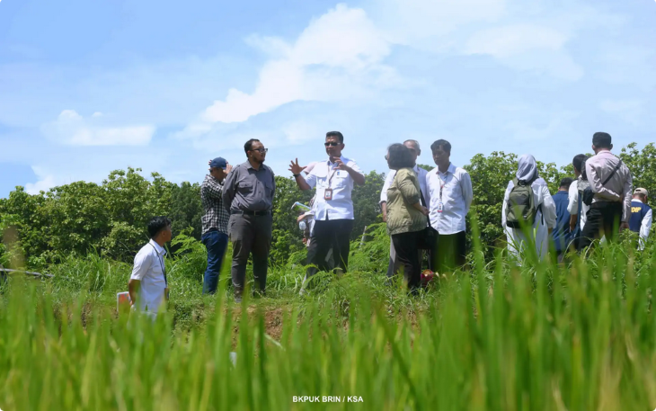 BRIN tengah menginisiasi kerja sama riset mina padi salin di Jepara dengan Fakultas Kelautan dan Perikanan Universitas Diponegoro.