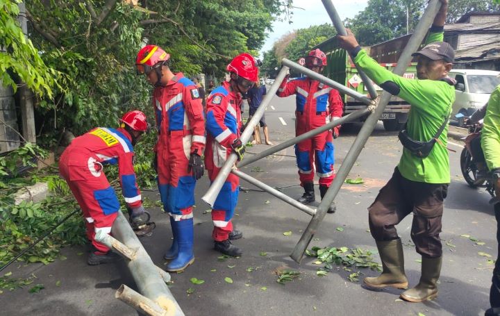 Kondisi sejumlah Damkar saat mengevakuasi pohon Kapuk yang tumbang dan tiang rambu di Jalan Raya Bogor, Kelurahan Susukan, Kecamatan Ciracas, Jakarta Timur, pada Kamis (12/12/2024) siang. Foto: Ist