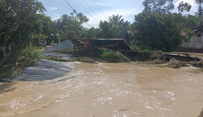 Kondisi banjir melanda Kabupaten Serdang Bedagai, Sumatera Utara, Selasa (7/1/2025). Foto: BPBD Kab. Serdang Bedagai