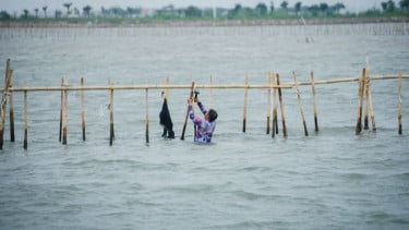 Pembongkaran pagar laut di Kabupaten Tangerang, Rabu (21/1).