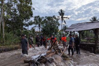 Tim gabungan tengah membersihkan sejumlah material kayu menyumbat jembatan desa akibat banjir bandang menerjang Desa Gunungsari, Kabupaten Bondowoso, Jumat (10/1/2025). Foto: BPBD Kabupaten Bondowoso