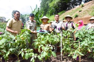 Pelaksana Tugas (Plt) Wali Kota Administrasi Jakarta Timur, Iin Mutmainnah (Memakai topi caping) dan jajaran saat memanen sayuran di lahan urban farming sepanjang bantaran KBT di Jalan Rumah Sakit (RS) Soekamto, Pondok Kopi, Duren Sawit, pada Senin (13/1/2025). Foto: Ist