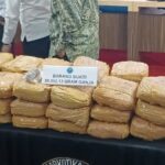 Dalam pengungkapan sejumlah kasus narkotika, Badan Narkotika Nasional Republik Indonesia (BNN RI) menunjukkan barang bukti berupa 50.992,13 gram ganja kering, dan 45,45 gram ganja sintetis (tembakau gorila), pada Selasa (14/1/2025). Foto: Joesvicar Iqbal/ipol.id