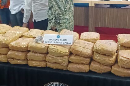 Dalam pengungkapan sejumlah kasus narkotika, Badan Narkotika Nasional Republik Indonesia (BNN RI) menunjukkan barang bukti berupa 50.992,13 gram ganja kering, dan 45,45 gram ganja sintetis (tembakau gorila), pada Selasa (14/1/2025). Foto: Joesvicar Iqbal/ipol.id