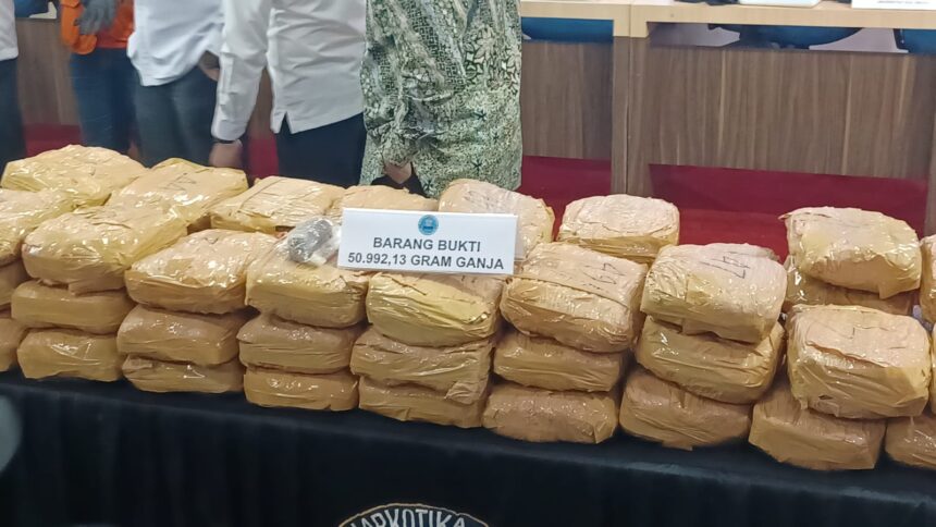 Dalam pengungkapan sejumlah kasus narkotika, Badan Narkotika Nasional Republik Indonesia (BNN RI) menunjukkan barang bukti berupa 50.992,13 gram ganja kering, dan 45,45 gram ganja sintetis (tembakau gorila), pada Selasa (14/1/2025). Foto: Joesvicar Iqbal/ipol.id