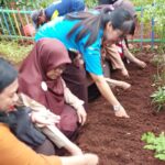 Para guru mempraktikkan langsung menanam bibit sayur dalam kegiatan urban farming yang digelar Suku Dinas Ketahanan Pangan Kelautan dan Pertanian (Sudin KPKP) Jakarta Timur di SDN Jatinegara Kaum 11 Pagi, Pulogadung, pada Rabu (15/1/2025) sore. Foto: Ist