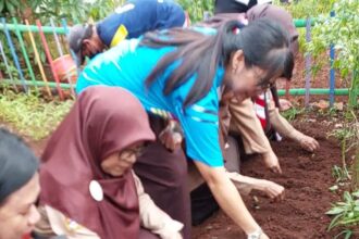 Para guru mempraktikkan langsung menanam bibit sayur dalam kegiatan urban farming yang digelar Suku Dinas Ketahanan Pangan Kelautan dan Pertanian (Sudin KPKP) Jakarta Timur di SDN Jatinegara Kaum 11 Pagi, Pulogadung, pada Rabu (15/1/2025) sore. Foto: Ist