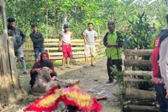 Nahas, suami bacok istri berkali-kali di depan tetangga hingga tewas ditempat. Foto: Tangkap layar IG @info.negri