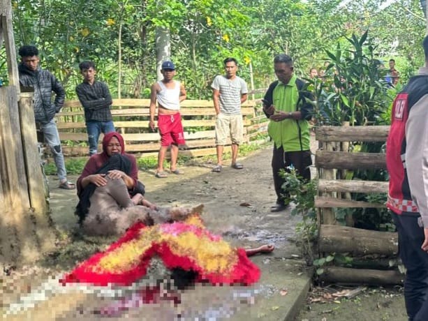 Nahas, suami bacok istri berkali-kali di depan tetangga hingga tewas ditempat. Foto: Tangkap layar IG @info.negri