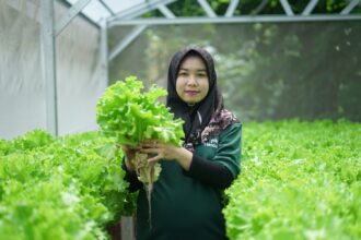 Program Sharp Hydro Heroes, inisiatif tanggung jawab sosial perusahaan (CSR) dari Sharp Electronics Indonesia, baru-baru ini berhasil melaksanakan panen perdana dengan hasil yang memuaskan.