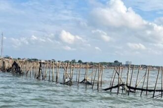 Pagar laut terbuat dari bambu yang membentang sejauh 30,16 Km di Kabupaten Tangerang Banten mulai dibongkar. Foto: Tangkapan layar Instagram @lbj_jakarta