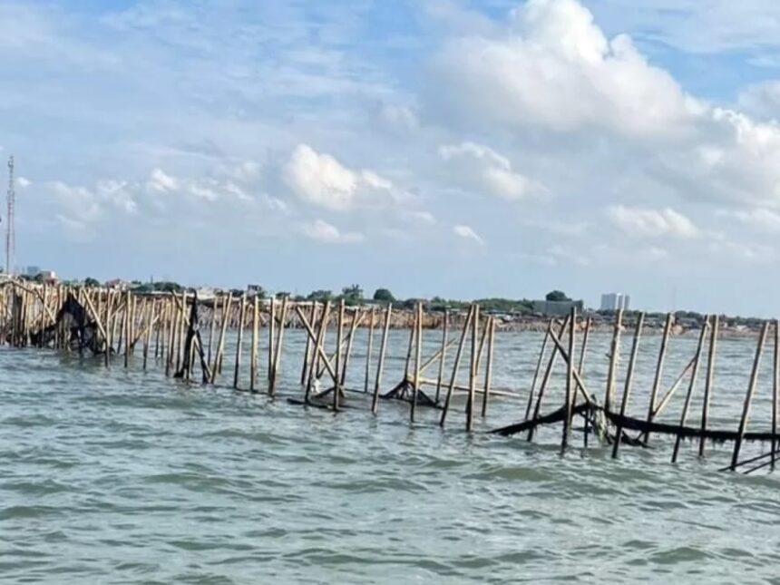 Pagar laut terbuat dari bambu yang membentang sejauh 30,16 Km di Kabupaten Tangerang Banten mulai dibongkar. Foto: Tangkapan layar Instagram @lbj_jakarta