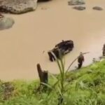 Mobil pikap terjun ke sungai di Kebumen,, Minggu (5/1/2025). Foto: Ist