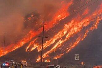 Kebakaran hutan baru kembali melanda wilayah Los Angeles. Foto: Tangkapan video X