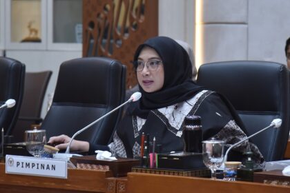 Wakil Ketua Komisi IX DPR RI Nihayatul Wafiro. Foto: