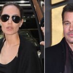 Angelina Jolie dan Brad Pitt. Foto: dailymail