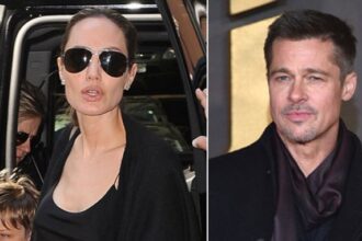 Angelina Jolie dan Brad Pitt. Foto: dailymail