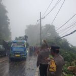 akses jalan Medan-Brastagi, Kabupaten Karo, terputus akibat pohon tumbang saat hujan lebat sejak Sabtu pagi, Foto: humas polri