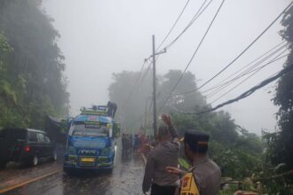 akses jalan Medan-Brastagi, Kabupaten Karo, terputus akibat pohon tumbang saat hujan lebat sejak Sabtu pagi, Foto: humas polri