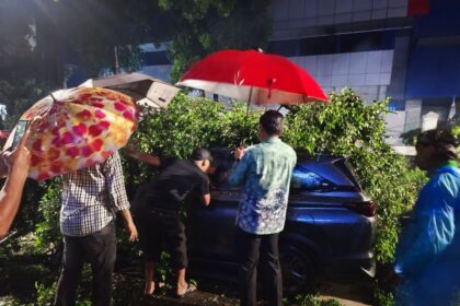 Wali Kota Jakarta Selatan, Munjirin bersama jajaran Pemkot saat penanganan pohon beringin tumbang di Jalan Bulungan, RT 011 RW 07, Kelurahan Kramat Pela, Kecamatan Kebayoran Baru, Jumat (31/1/2025) dini hari. Foto: Ist