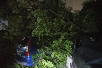 Kondisi tiga unit mobil tertimpa pohon Angsana yang tumbang hingga menutup akses Jalan Kampung Sumur, RT 01/ RW 13, Kelurahan Jatinegara, Kecamatan Cakung, Jakarta Timur, Senin (6/1/2025) malam. Foto: Ist