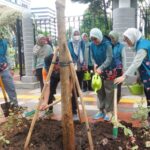 Penanaman pohon Tabebuya di sepanjang jalur hijau Jalan Senen Raya, Pasar Baru, Sawah Besar. Foto: Ist