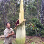 Holidin, penggerak pelestarian di Taman Konservasi Puspa Langka Tebat Monok, Kepahiang, Bengkulu. Foto: Dok pribadi/VoA