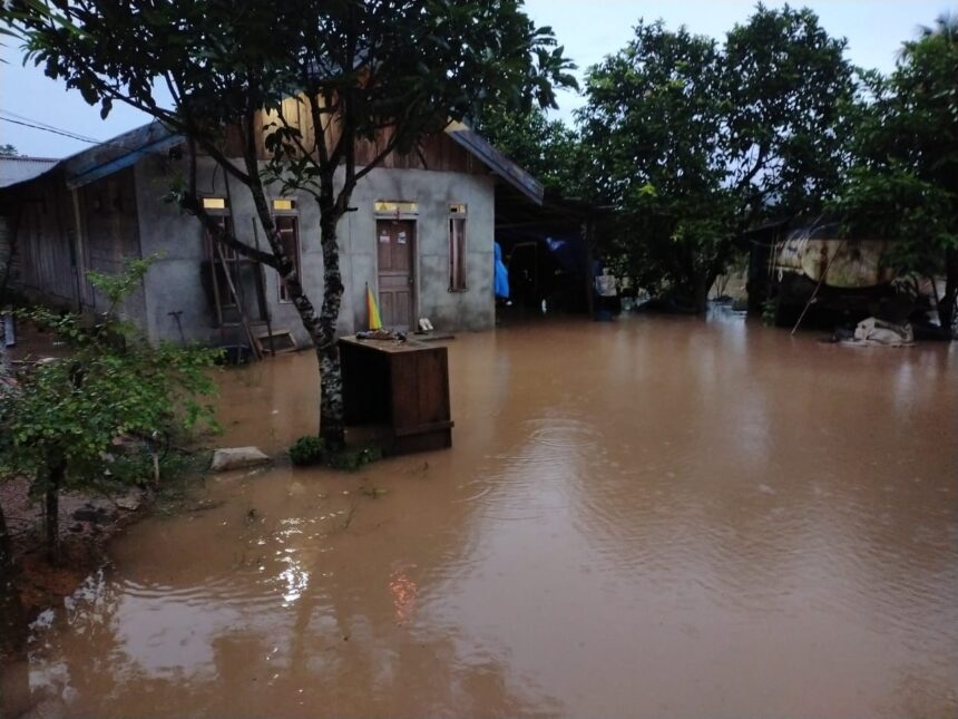 Kondisi rumah dan lahan yang terendam banjir di Kabupaten Toli-Toli, Sulawesi Tengah pada Sabtu (1/2/2025). Foto: BPBD Kabupaten Toli-Toli