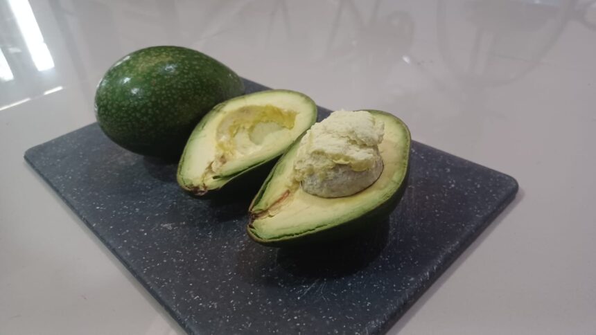 Konsumsi buah alpukat dan sumber lemak tak jenuh lainnya sebagai bagian dari pola makan sehat untuk mengurangi risiko penyakit kardiovaskular. Foto: Joesvicar Iqbal/ipol.id