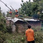 Tim gabungan dikoordinir oleh BPBD Kabupaten Sumbawa Barat, melakukan penanganan pohon tumbang menimpa truk dan rumah rusak akibat hembusan angin kencang. Foto: BPBD Kab. Sumbawa Barat