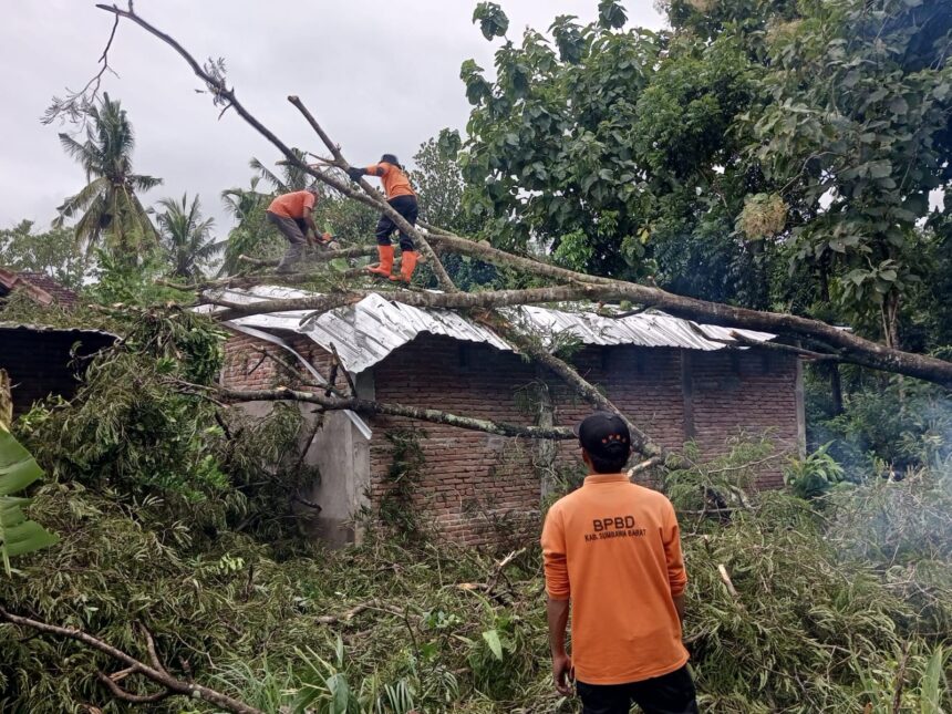 Tim gabungan dikoordinir oleh BPBD Kabupaten Sumbawa Barat, melakukan penanganan pohon tumbang menimpa truk dan rumah rusak akibat hembusan angin kencang. Foto: BPBD Kab. Sumbawa Barat