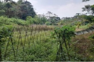 Salah satu bidang tanah yang dilelang terletak di Kabupaten Lebak, Provinsi Banten. Foto: Puspenkum Kejaksaan Agung