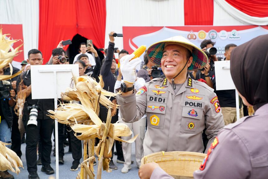 Inspektur Pengawasan Umum (Irwasum) Polri, Komjen Pol Dedi Prasetyo saat memimpin panen raya jagung serentak tahap pertama di Desa Bulu, Kecamatan Pilangkenceng, Kabupaten Madiun, Jawa Timur, pada Rabu (26/2/2025). Foto: Divisi Humas Polri