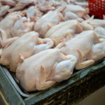 Ilustrasi, Ayam Negri di pasar Tradisional. Foto: Istock @Thai Liang Lim