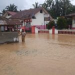 Kondisi banjir merendam permukiman warga di Kabupaten Dharmasraya, Sumatera Barat, pada Kamis (27/2/2025). Foto: BPBD Kabupaten Dharmasraya