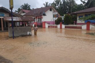 Kondisi banjir merendam permukiman warga di Kabupaten Dharmasraya, Sumatera Barat, pada Kamis (27/2/2025). Foto: BPBD Kabupaten Dharmasraya